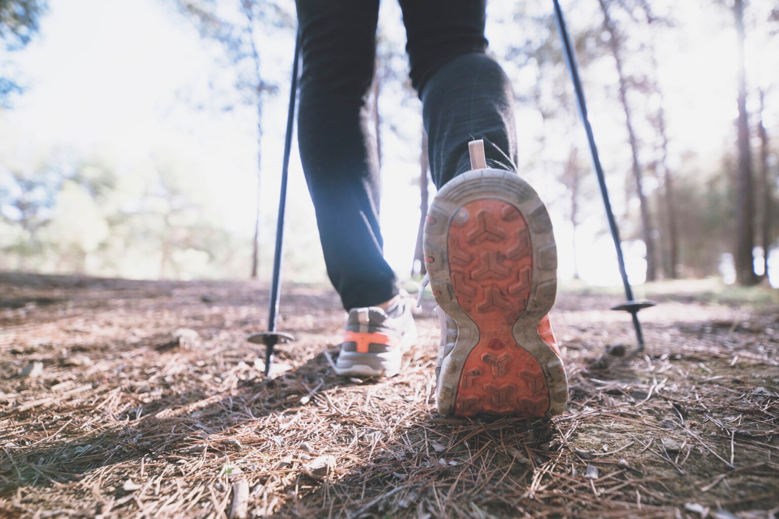 jambes-de-cultures-marchant-dans-la-foret