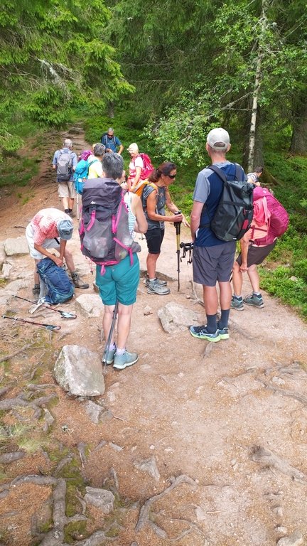 le meilleur équipement pour la randonnée avec le club vosgien de Barr